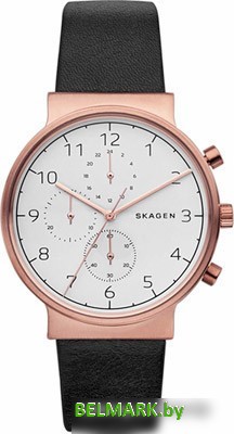 Наручные часы Skagen SKW6371 - фото