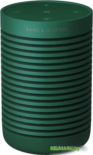 Беспроводная колонка Bang & Olufsen Beosound Explore (зеленый) - фото