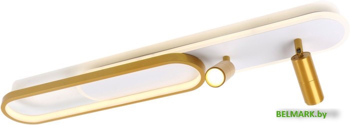 Припотолочная люстра Arte Lamp Lucas A2600PL-32GO - фото