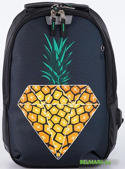 Школьный рюкзак Ecotope Kids 057-22003/1-28-CLR - фото