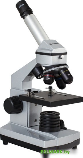 Bresser Junior 40x–1024x в кейсе 26754 - фото