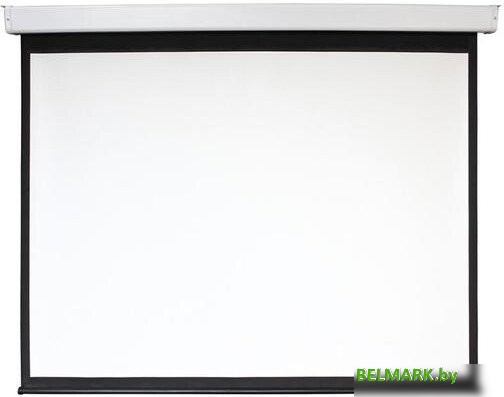 Проекционный экран Future Vision Business Electric 360 368x232 E360WMW - фото