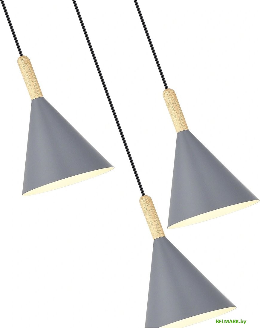 Подвесная люстра Evoluce SLE1255-433-03 - фото2