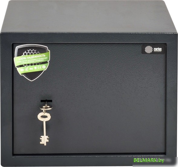 Мебельный сейф CACTUS CS-SF-K30 - фото2