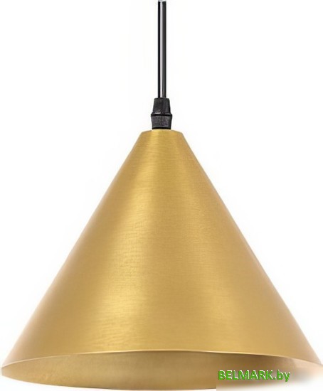 Подвесная люстра Arte Lamp David A7033SP-1BK - фото