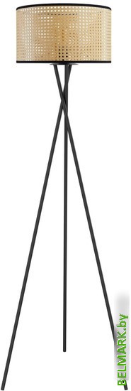 Торшер Lussole LSP-0633 - фото