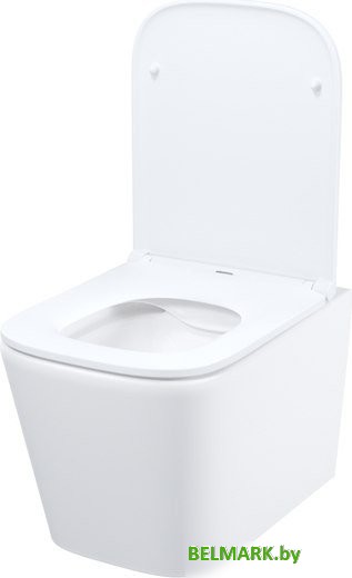 Унитаз подвесной IDDIS Bild BILRNSEi25 - фото2