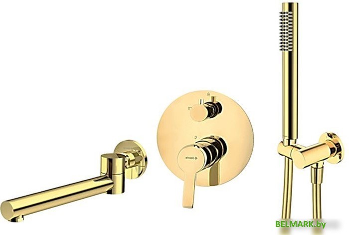 Душевой гарнитур Deante Z06W - фото