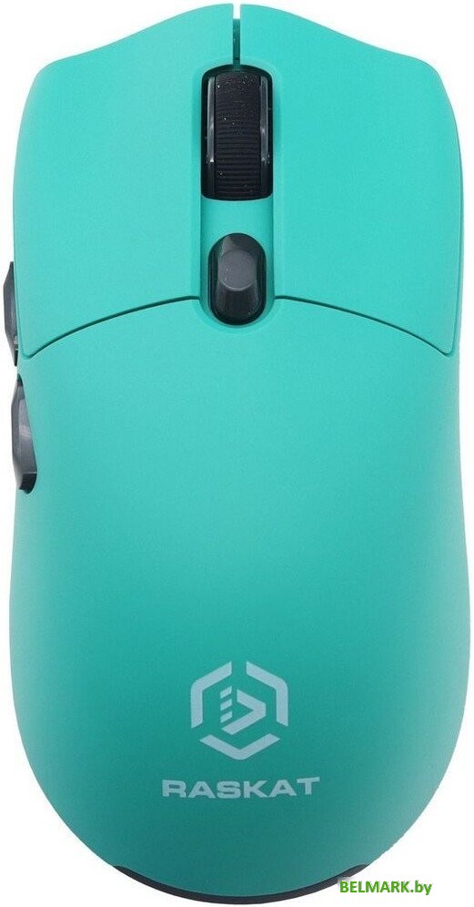 Мышь Raskat MG006TR - фото