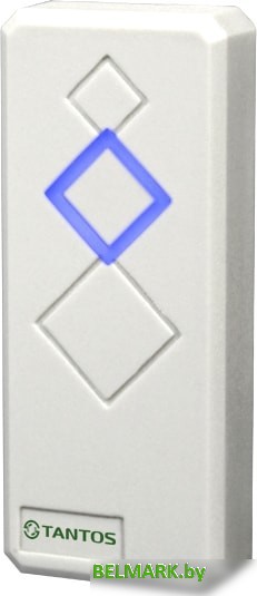 Считыватель бесконтактных карт Tantos TS-RDR-E (белый) - фото