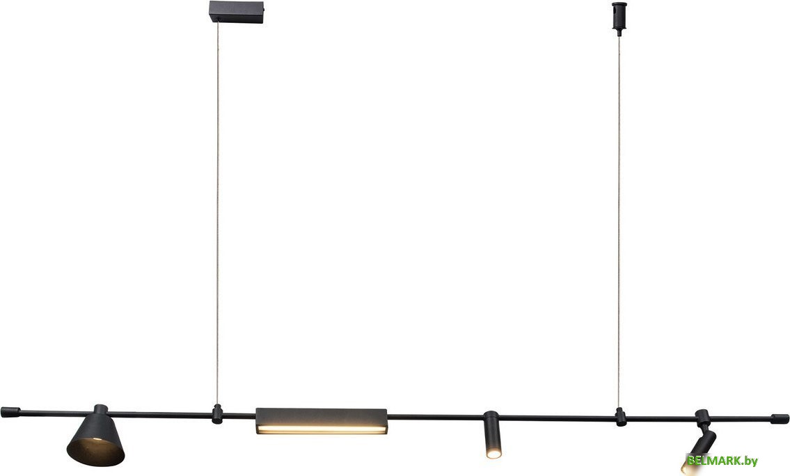 Подвесная люстра Kinklight Ристо 07616-150L.19 (черный) - фото