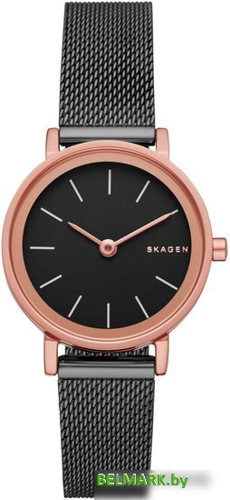 Наручные часы Skagen SKW2492 - фото
