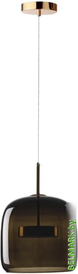 Подвесная люстра LOFT IT Dauphin 10040A - фото