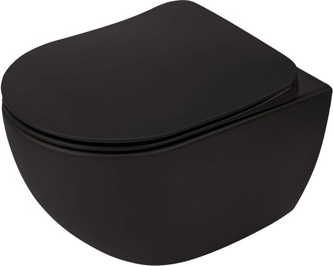 Унитаз Deante Peonia Nero CDEDNZPW - фото