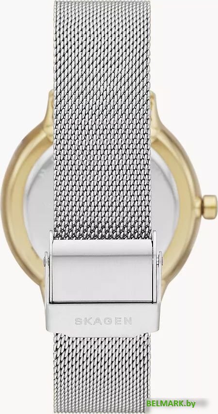 Наручные часы Skagen Riis SKW2912 - фото2