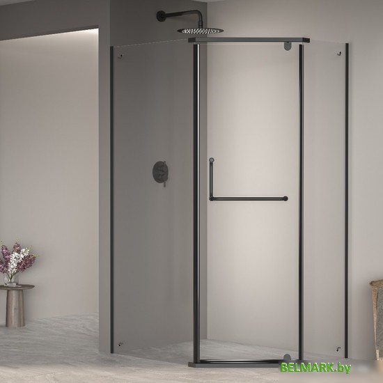 Душевой уголок RGW PA-091B 35089192-14 90x120 (черный/прозрачное стекло) - фото