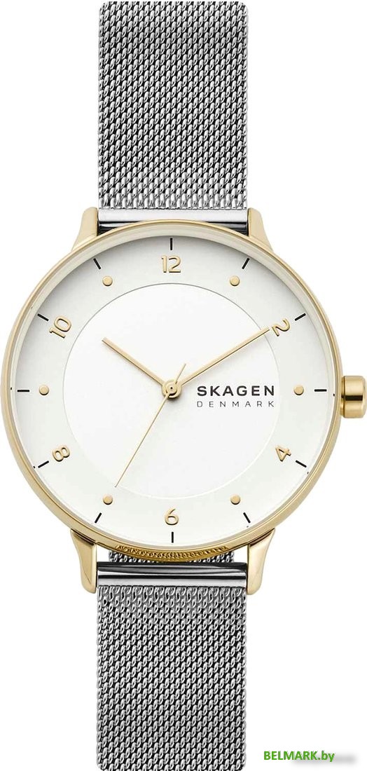 Наручные часы Skagen Riis SKW2912 - фото
