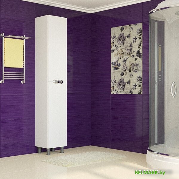 Mixline Шкаф-пенал Этьен 36 539098 - фото2