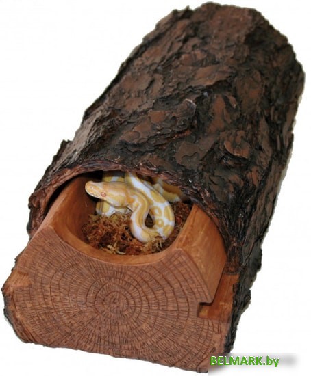 Декорация Lucky Reptile MultiBox MB-93 - фото