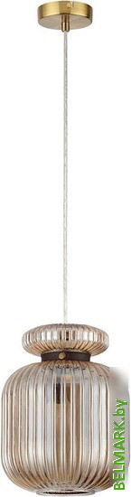 Подвесная люстра Odeon Light Jugi 5042/1A - фото