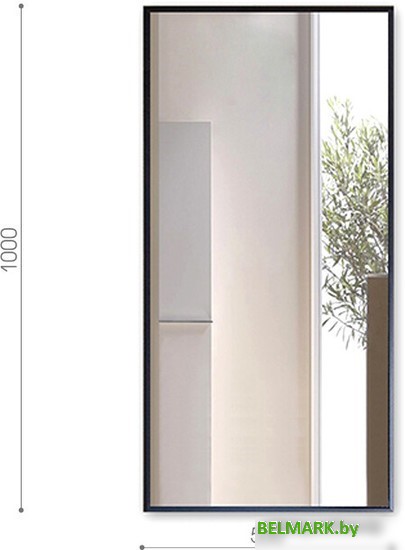 Интерьерные зеркала Алмаз-Люкс М-420 100х50 - фото2