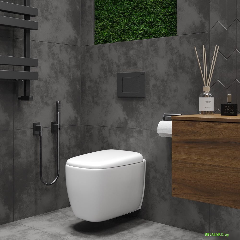 Унитаз подвесной Roxen Martin 530220-02 Rimless Soft Close - фото2