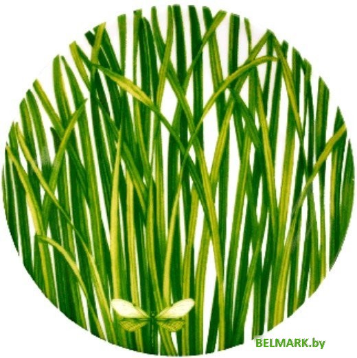 Тарелка обеденная Taitu Life In Green 12-13-3 - фото