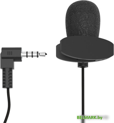 Микрофон Ritmix RCM-102 - фото