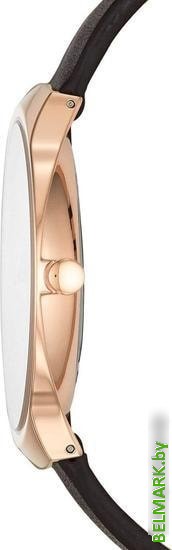 Наручные часы Skagen SKW6458 - фото2