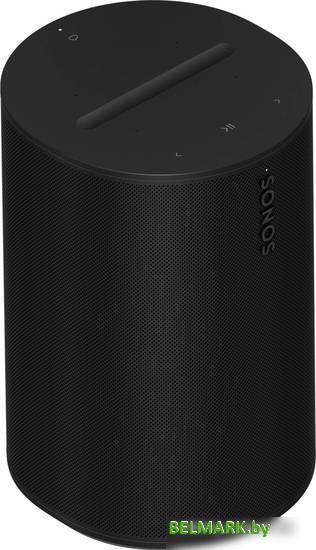 Беспроводная аудиосистема Sonos Era 100 (черный) - фото2