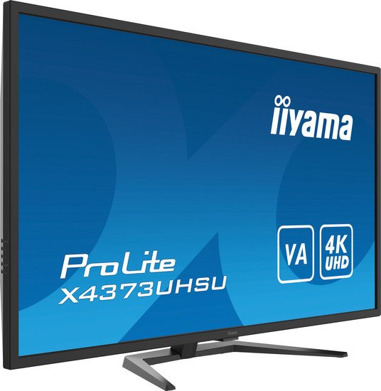 Монитор Iiyama ProLite X4373UHSU-B1 - фото2