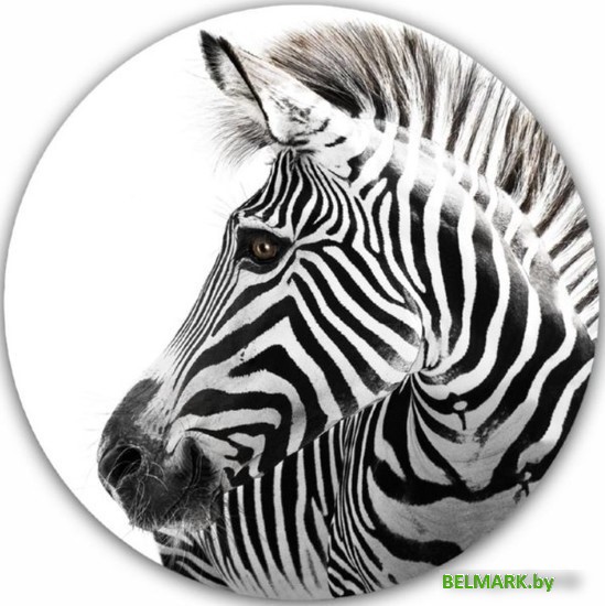 Картина на стекле Orlix Зебра GL-01089 70 - фото
