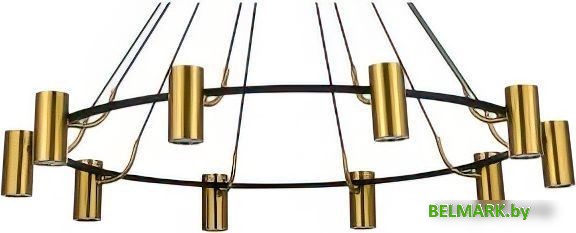 Подвесная люстра ST Luce Talia SL1215.403.10 - фото