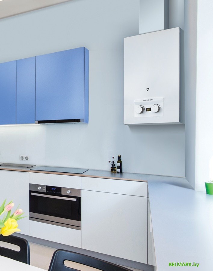 Газовая колонка Oasis Eco W-24 - фото2