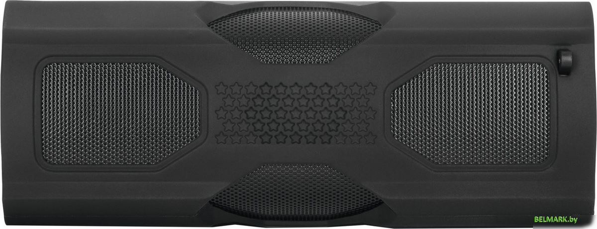 Беспроводная колонка Technisat OutdoorSound IPX6 - фото
