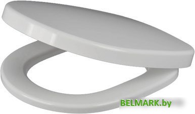 Сиденье для унитаза IDDIS Calipso CALDPSEi31 - фото