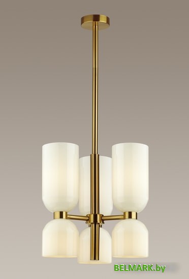 Подвесная люстра Odeon Light Orinoco 4798/6 - фото2