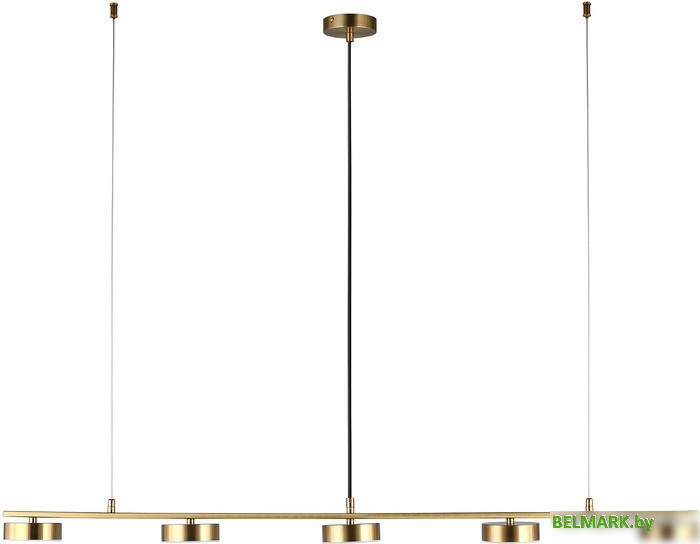 Люстра средней высоты Aployt Usia APL.047.13.35 - фото