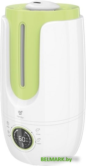 Увлажнитель воздуха Royal Clima Antica RUH-AN300/4.0E-GN - фото
