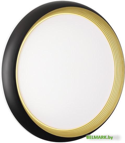 Припотолочная люстра Sonex Pale 7651/EL - фото2