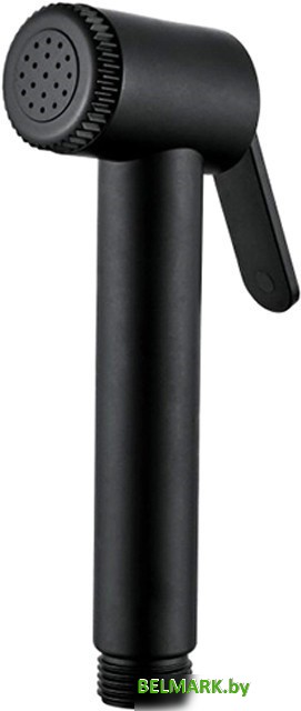 Душевая лейка Ledeme M34B-2 (черный) - фото