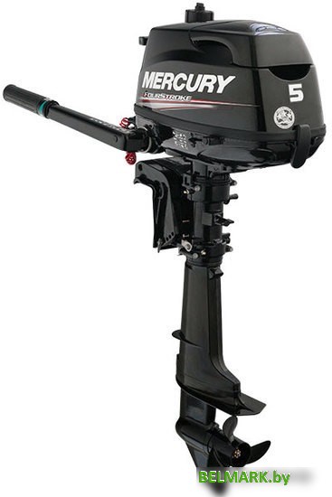Лодочный мотор Mercury F5 MH-2 - фото