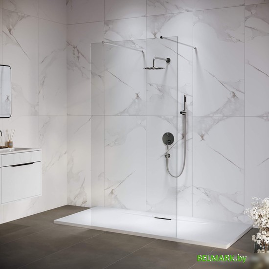 Душевая стенка RGW WA-016 35101612-11 120 (хром/прозрачное стекло) - фото