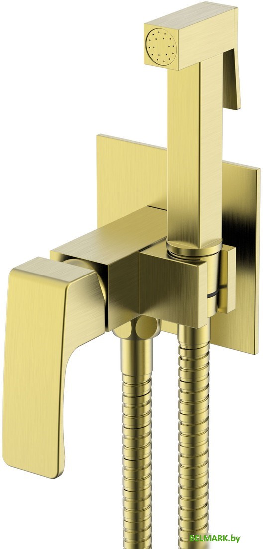 Гигиенический душ Raglo R01.52.03 - фото