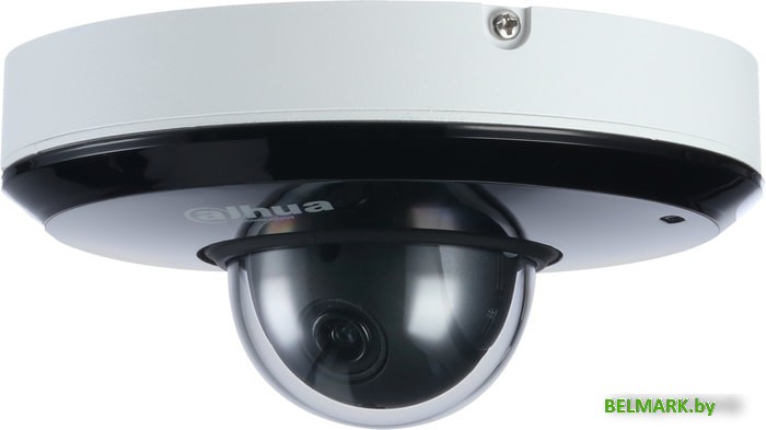 IP-камера Dahua DH-SD1A203T-GN - фото