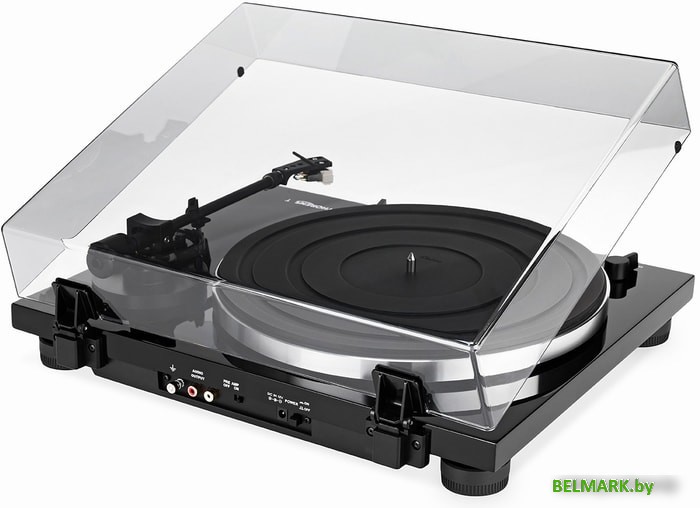 Виниловый проигрыватель Thorens TD 201 - фото2