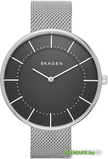 Наручные часы Skagen SKW2561 - фото