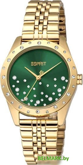 Наручные часы Esprit ES1L405M0045 - фото