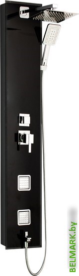 Душевая панель WeltWasser WW GL 14251 BL - фото