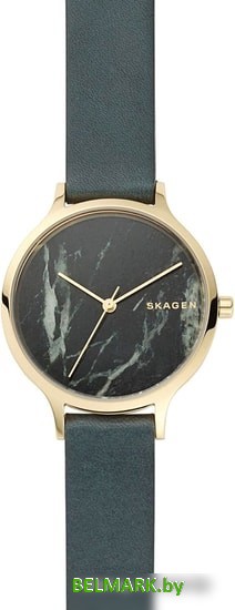 Наручные часы Skagen SKW2720 - фото